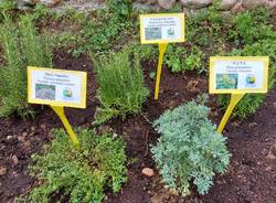 A Saronno il parco De Rocchi si arricchisce di piante ed erbe aromatiche 