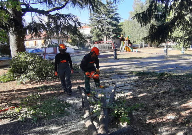 albero caduto san giorgio su legnano