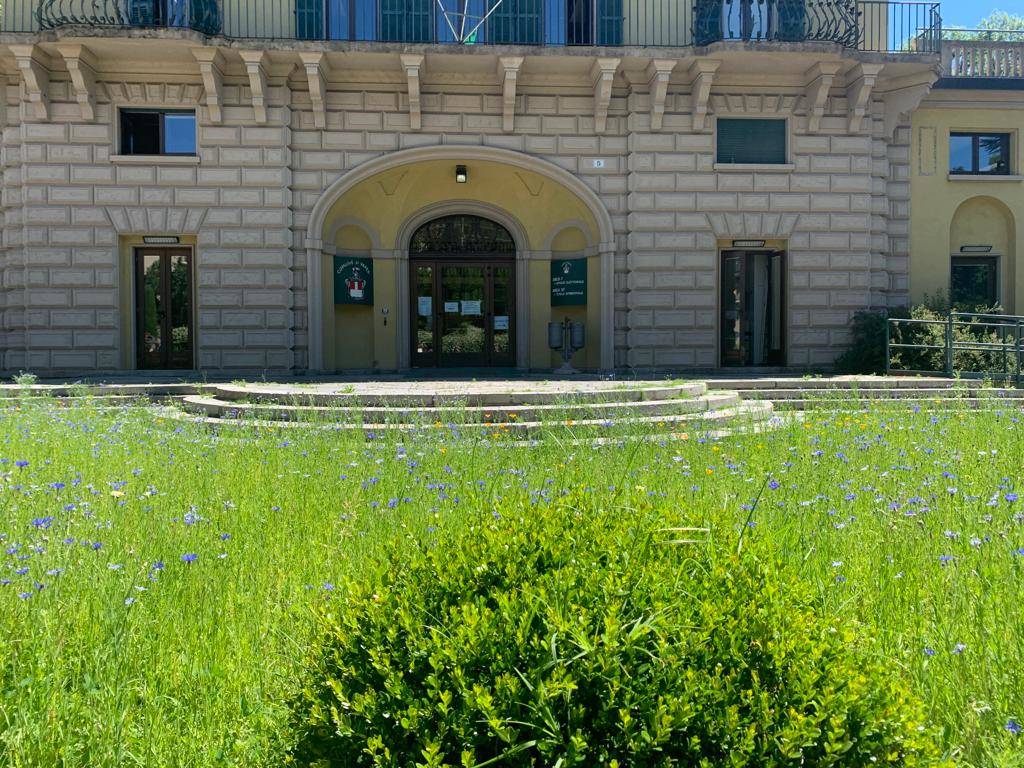 Bee hotel e prato fiorito in via Copelli