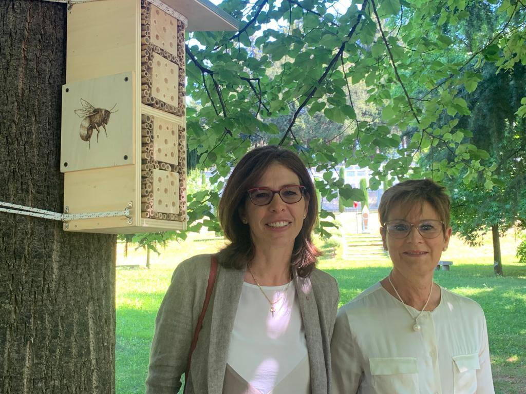 Bee hotel e prato fiorito in via Copelli