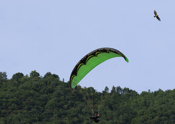 Volare a Laveno insieme ai rapaci.