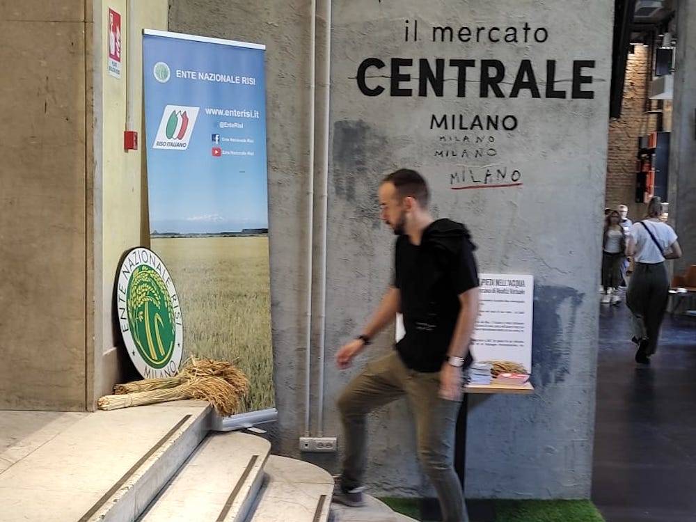 Un viaggio virtuale nelle risaie con Chef Barzetti