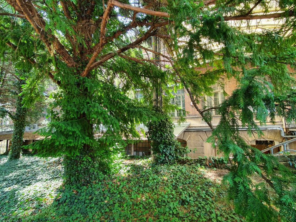 Dentro la ex Manifattura di Legnano