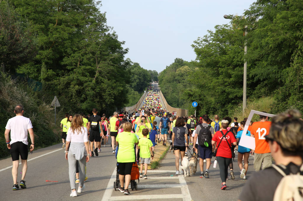 Fulgor Run 2022