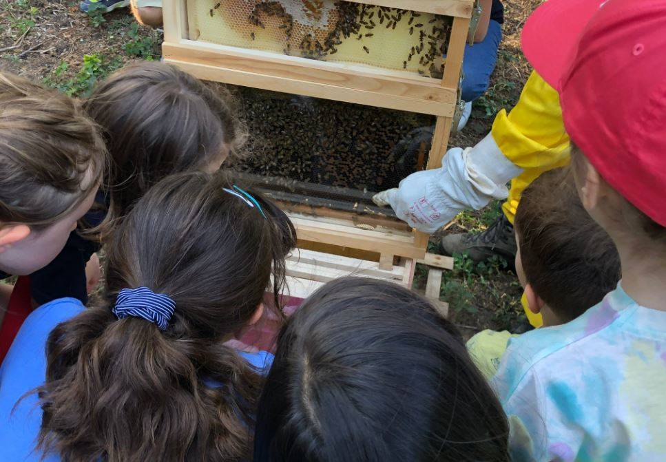 I bimbi della contrada San Martino in visita nella "casa" delle api del Castello di Legnano