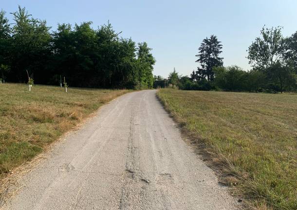 Il rinnovo della Boschina a Gallarate