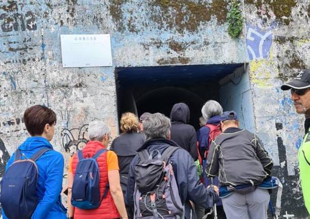 In 50 a piedi da Fagnano Olona a Dairago lungo la via Francisca del Lucomagno