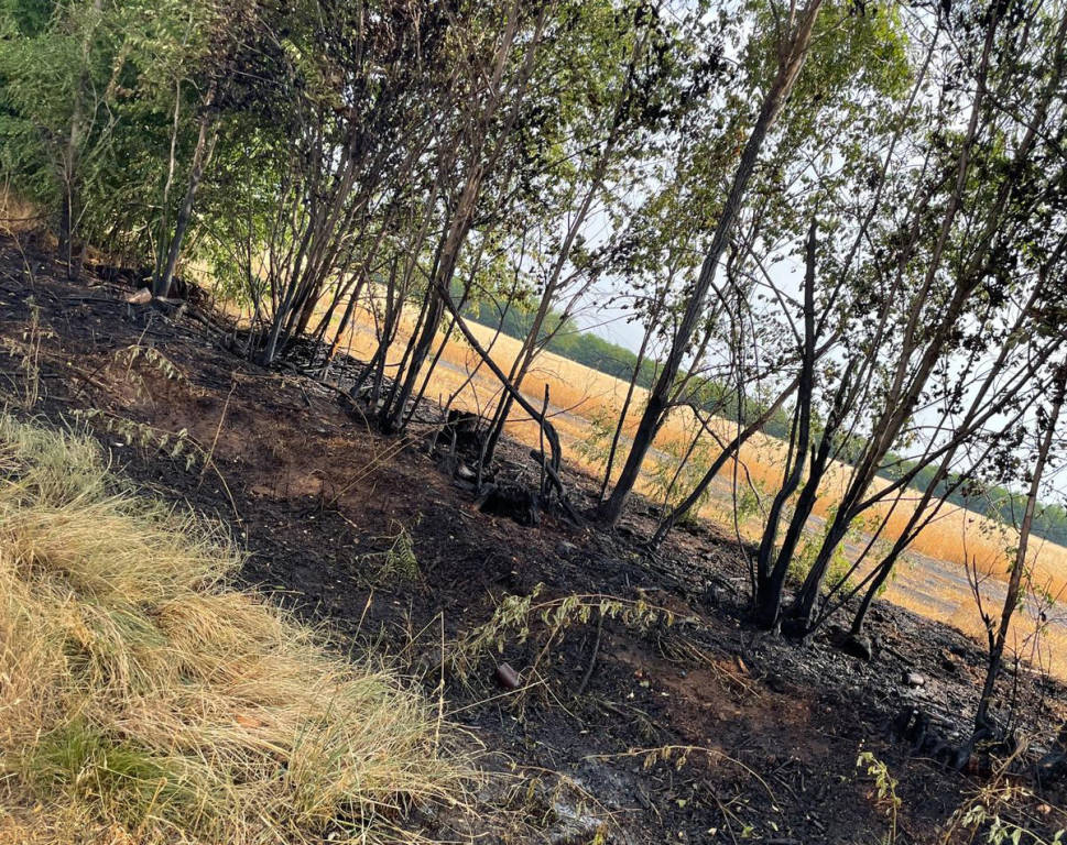 incendi nell'alto milanese