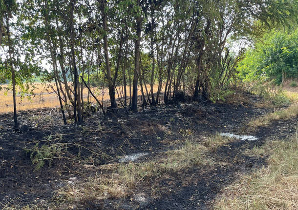 incendi nell'alto milanese