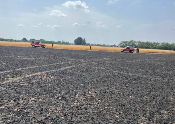 incendio campo grano busto garolfo