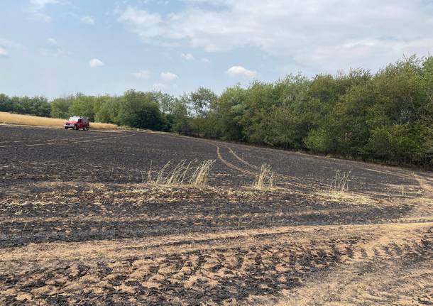 incendio campo grano busto garolfo