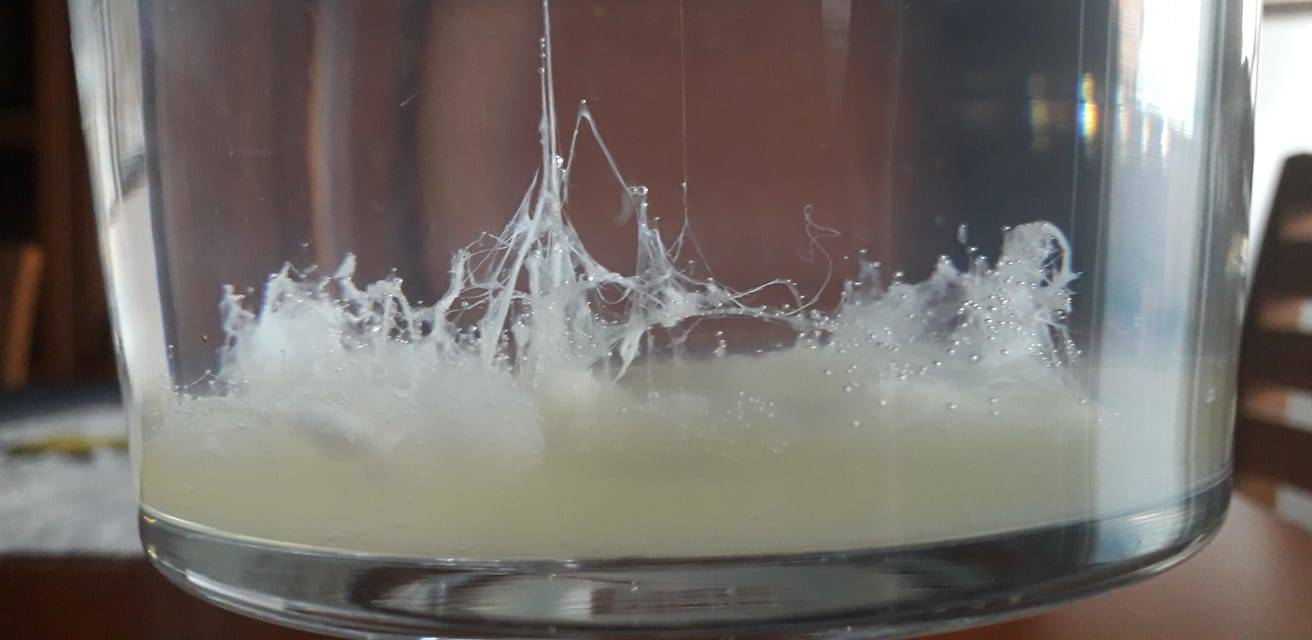 Le barche di San Pietro dei lettori - 2022