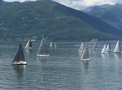 luino generiche