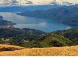 luino generiche