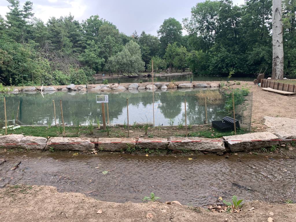 parco castello Legnano 