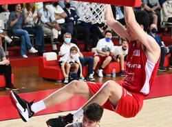 nicolò virginio basket