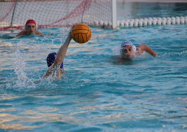 Pallanuoto Legnano  sconfigge Cremona