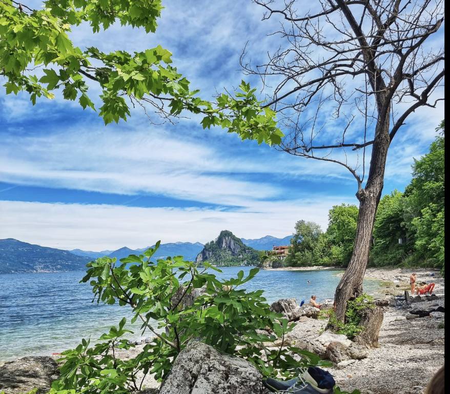 Qualità acque Lago Maggiore