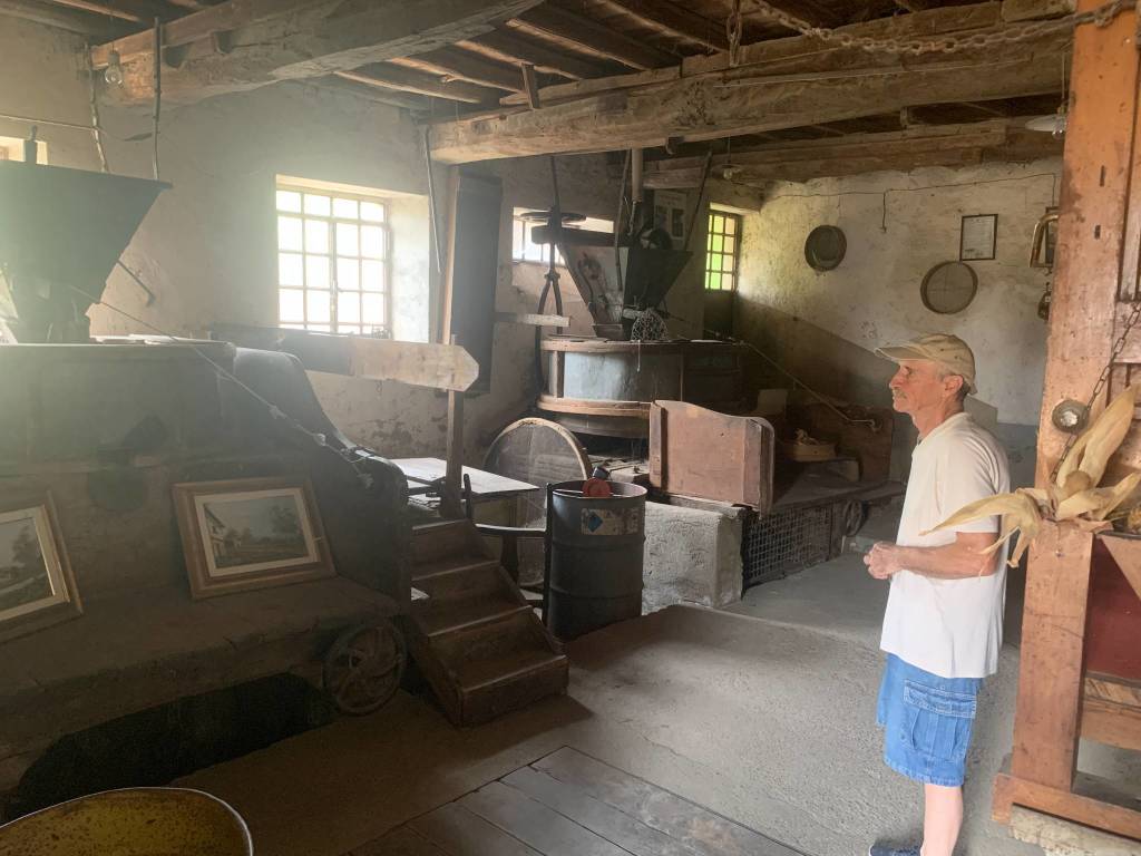 san vittore olona persone