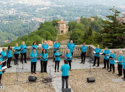 solevoci 