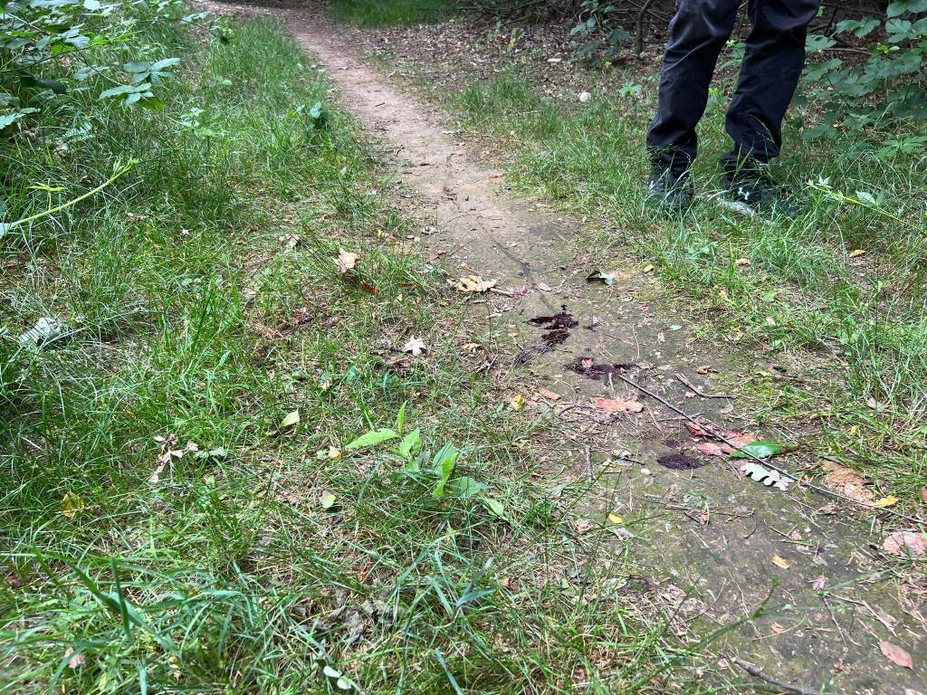 Sparatoria nei campi tra Cerro Maggiore e Uboldo, 35enne in ospedale con l’elisoccorso 