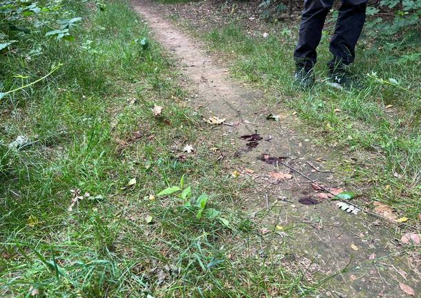 Sparatoria nei boschi tra Cerro Maggiore e Uboldo