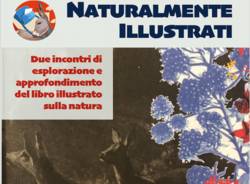 Libreria degli Asinelli - Naturalmente Illustrati