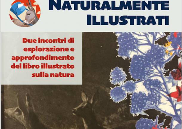 Libreria degli Asinelli - Naturalmente Illustrati