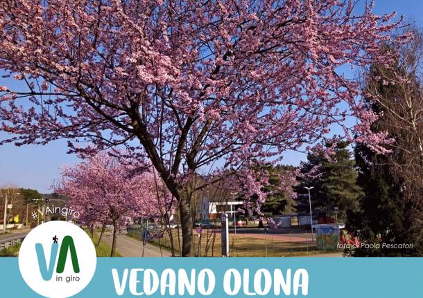 Vedano Olona generica