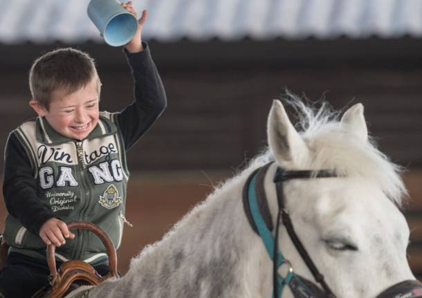 arca del seprio e riabilitazione equestre