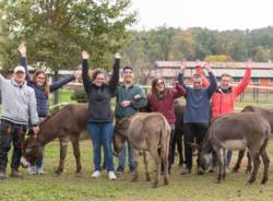 arca del seprio e riabilitazione equestre