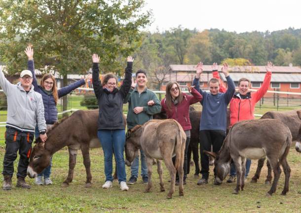 arca del seprio e riabilitazione equestre