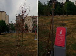 bosco in città legnano