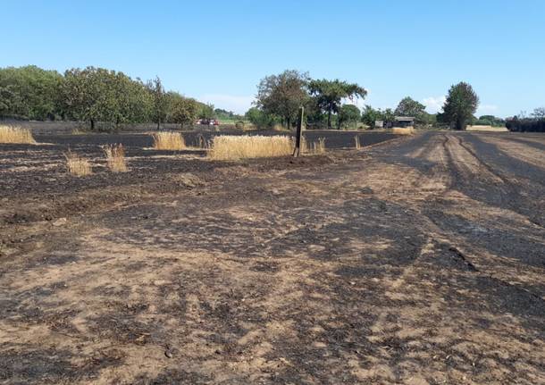 Campo in fiamme a Dairago