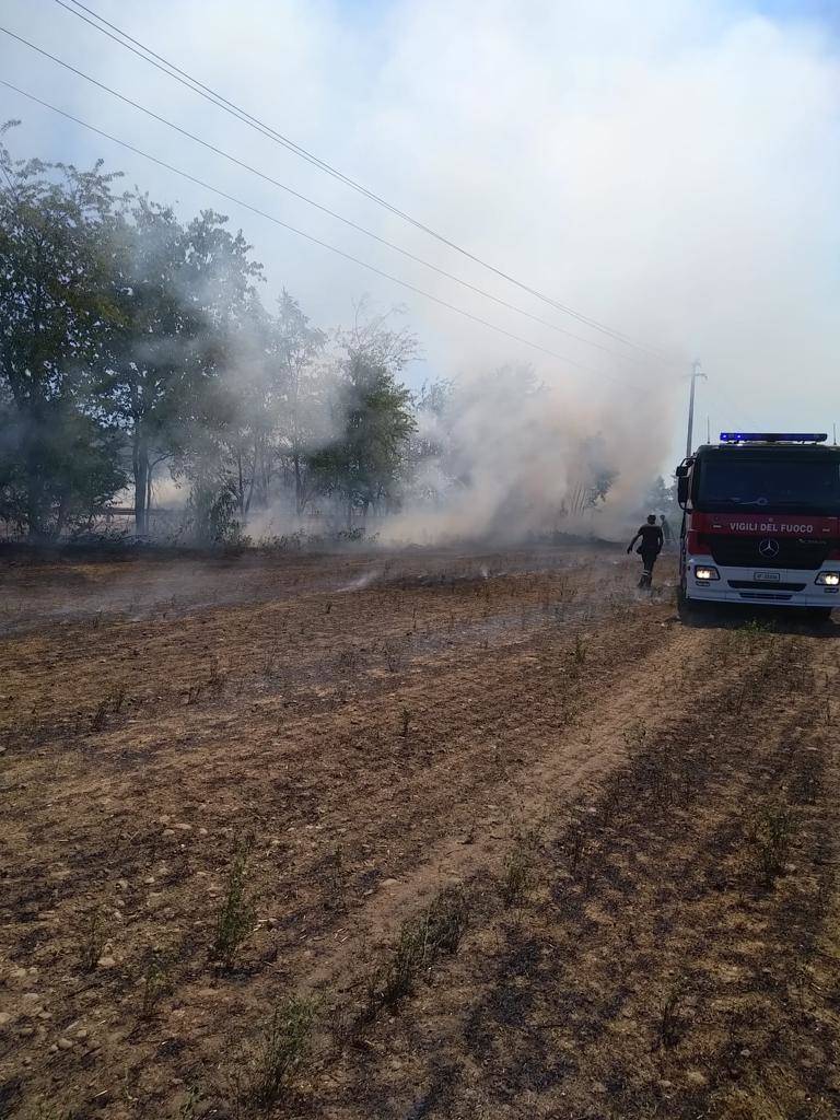 Campo in via Levi in fiamme _ Domenica 10 luglio