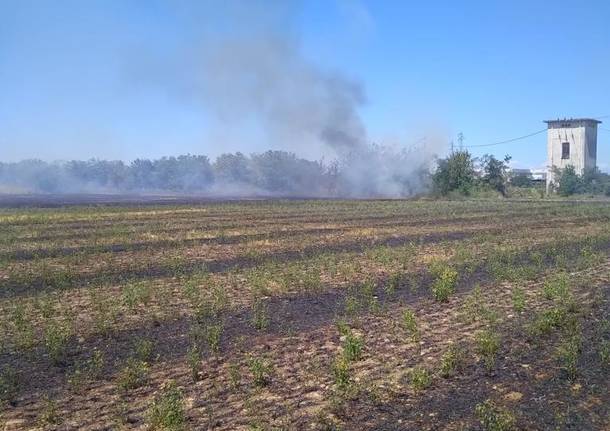 Campo in via Levi in fiamme _ Domenica 10 luglio