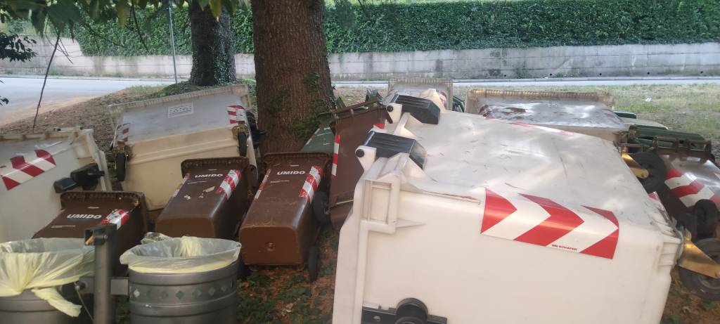 Nuova gestione rifiuti