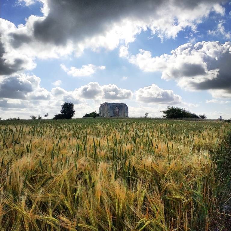 Da Canterbury a Leuca a piedi lungo la via Francigena. Il viaggio di beneficenza di Federica 