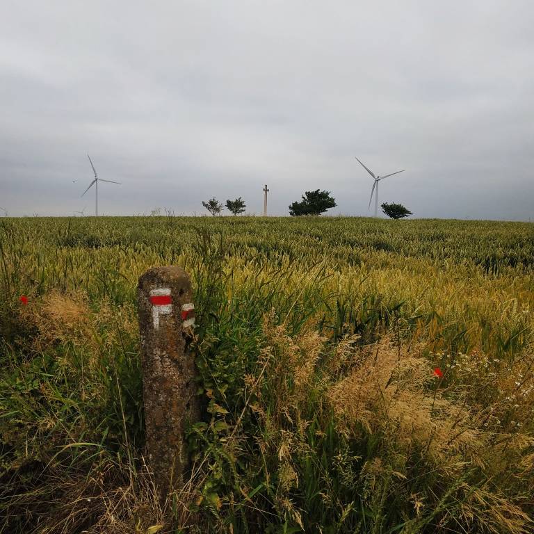 Da Canterbury a Leuca a piedi lungo la via Francigena. Il viaggio di beneficenza di Federica 