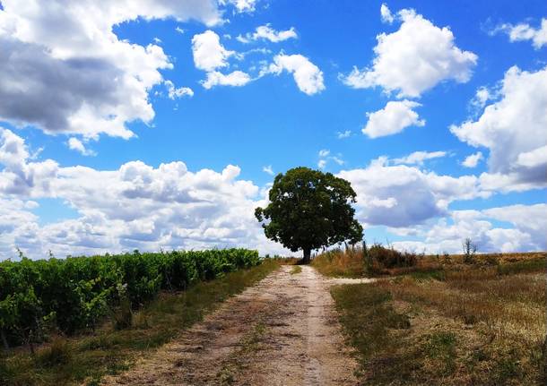 Da Canterbury a Leuca a piedi lungo la via Francigena. Il viaggio di beneficenza di Federica 