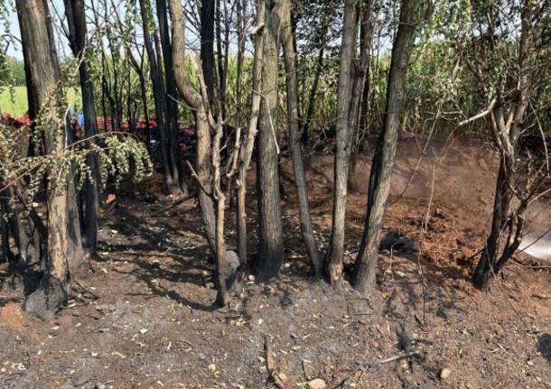 Doppio incendio nei campi di Magnago e Inveruno