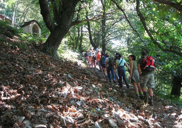 Escursione a Colloro con le guide della Val Grande