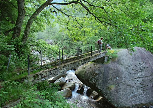 Escursione a Colloro con le guide della Val Grande