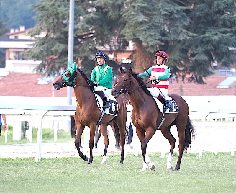 galoppo ippodromo di varese premio terzaghi 2022