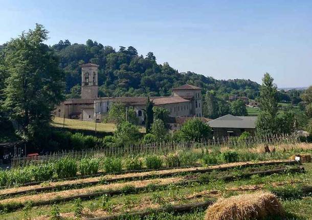 Gli orti botanici di Lombardia in fiore