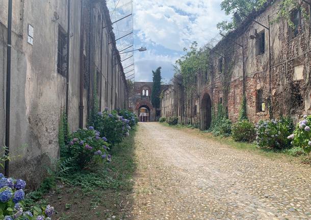 I luoghi di Vizzola Ticino 