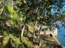 Il parco delle Torrazze e la passeggiata Romanini di laveno mombello 