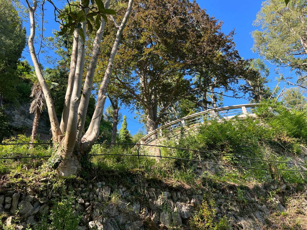 Il parco delle Torrazze e la passeggiata Romanini di laveno mombello 