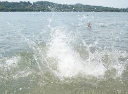 Il tuffo dei politici nel Lago di Varese