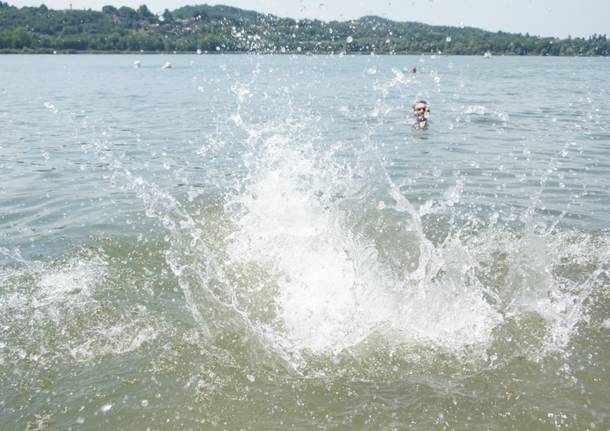 Il tuffo dei politici nel Lago di Varese